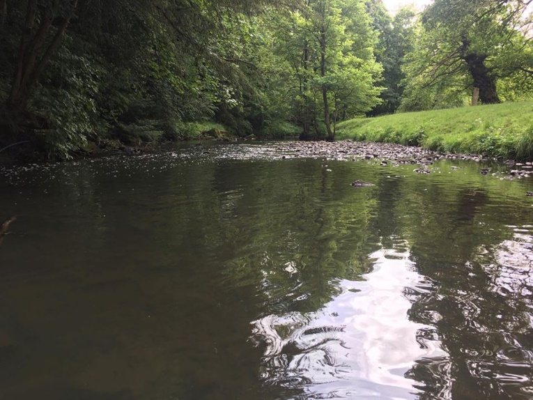 An adventure in Bishop Auckland