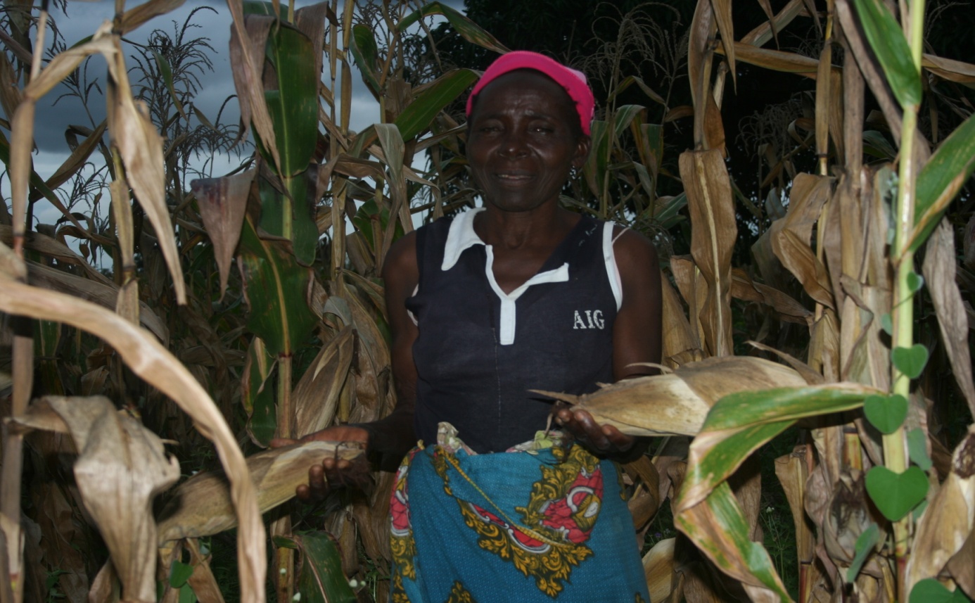 Forget Food Waste – What about Food Security? (Pt. I)