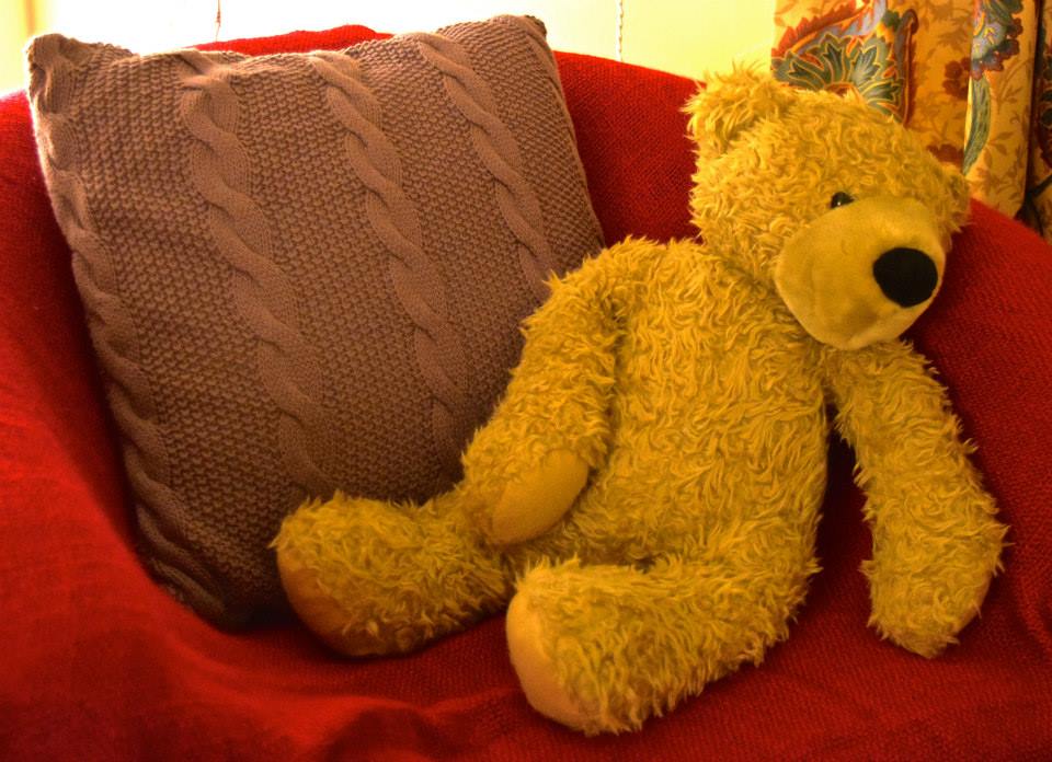 A Chat with the Welfare Team – Part One