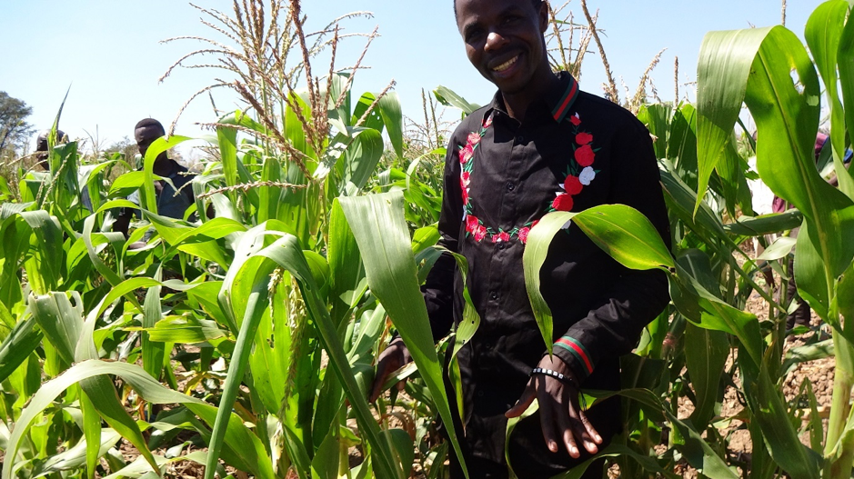 Forget Food Waste – What about Food Security? (Pt. II)