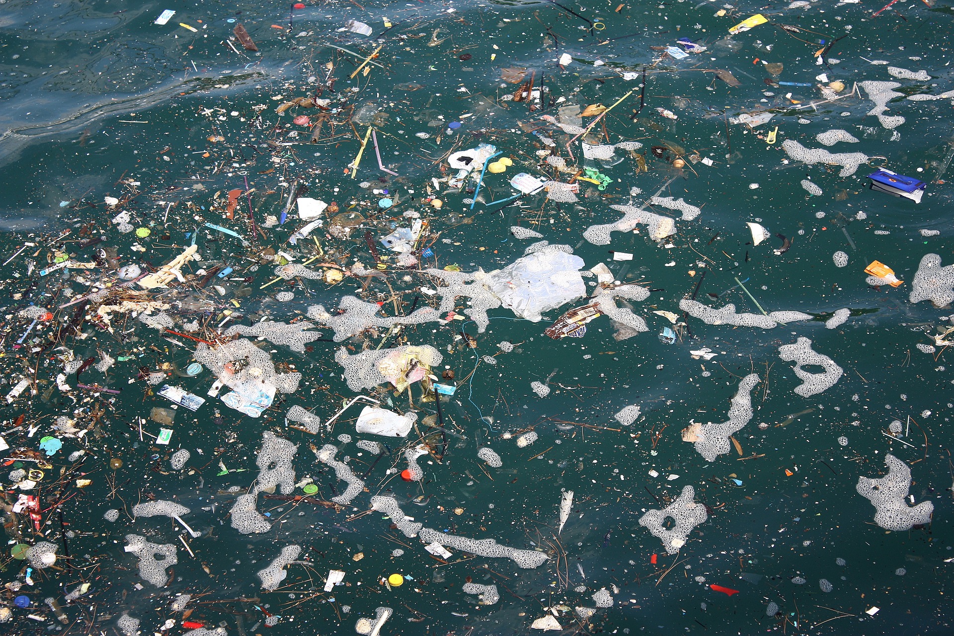 Source: https://pixabay.com/en/sea-oats-garbage-pollution-1017596/