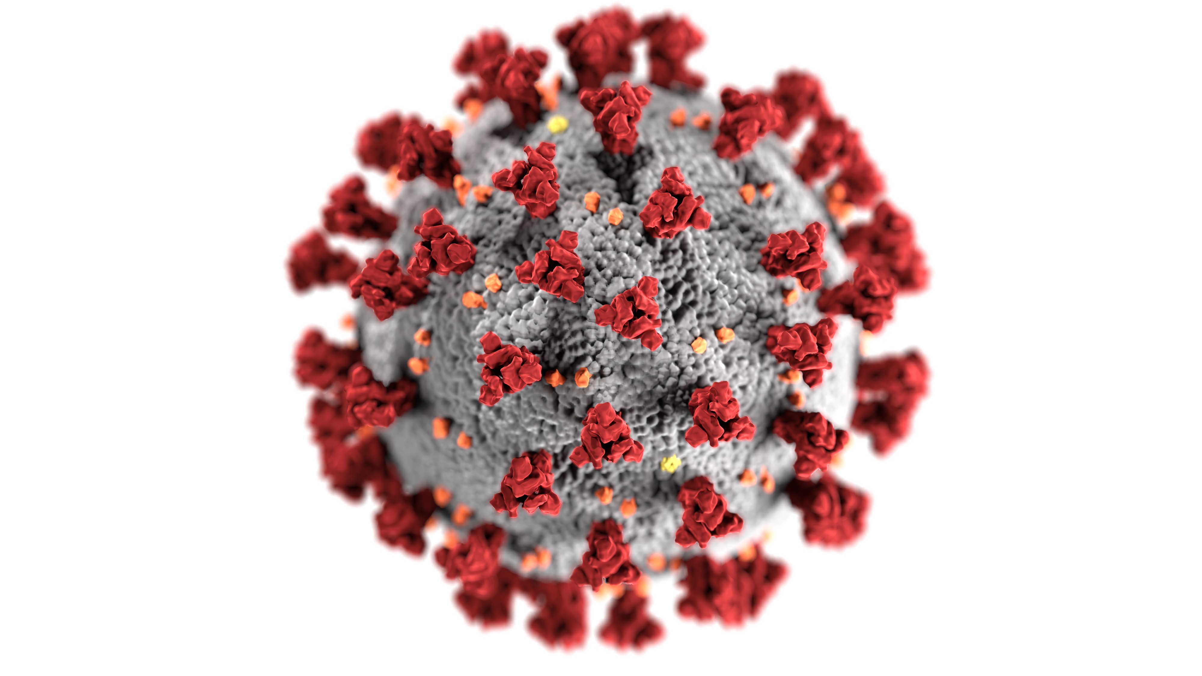 Lessons about the COVID-19 pandemic from biblical plagues