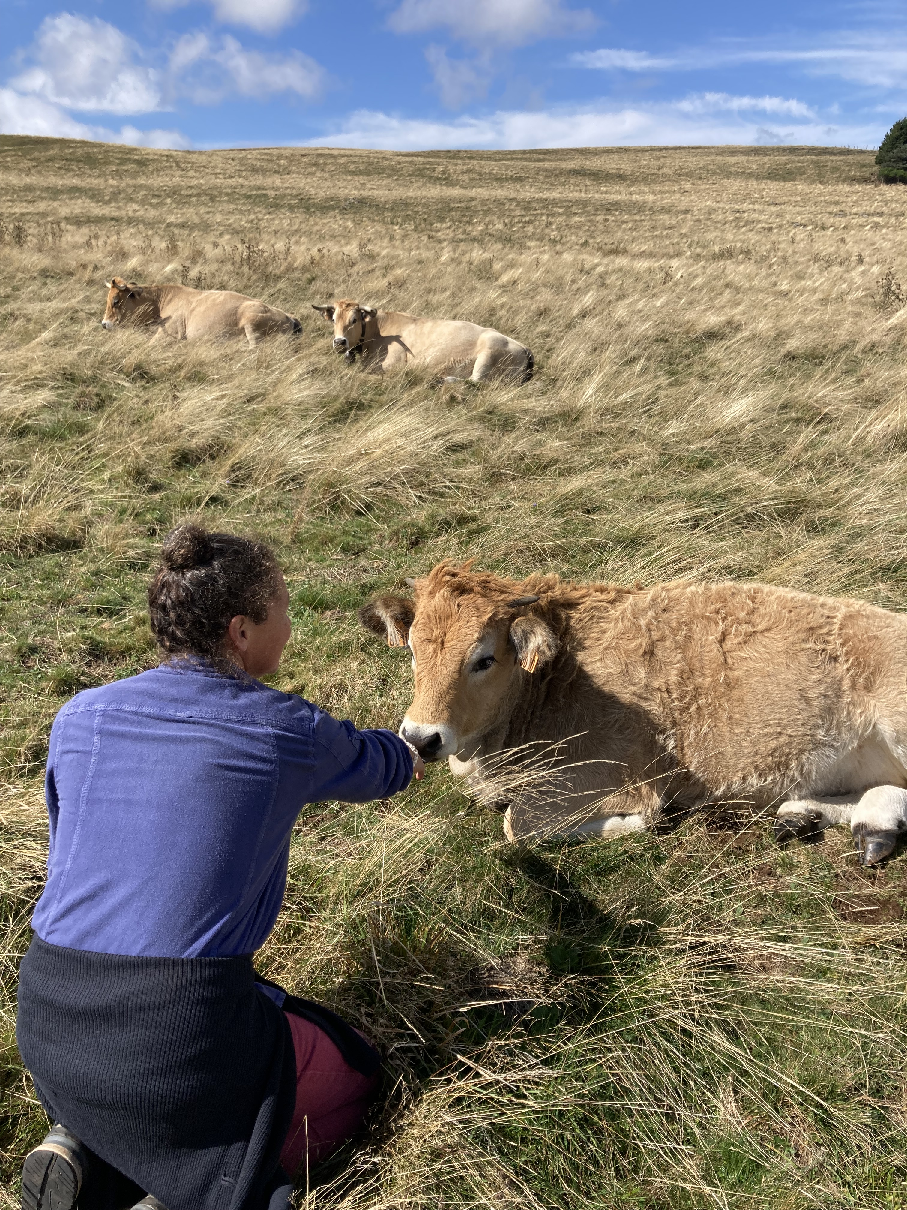Student Opportunities Fund: Tales from Aubrac